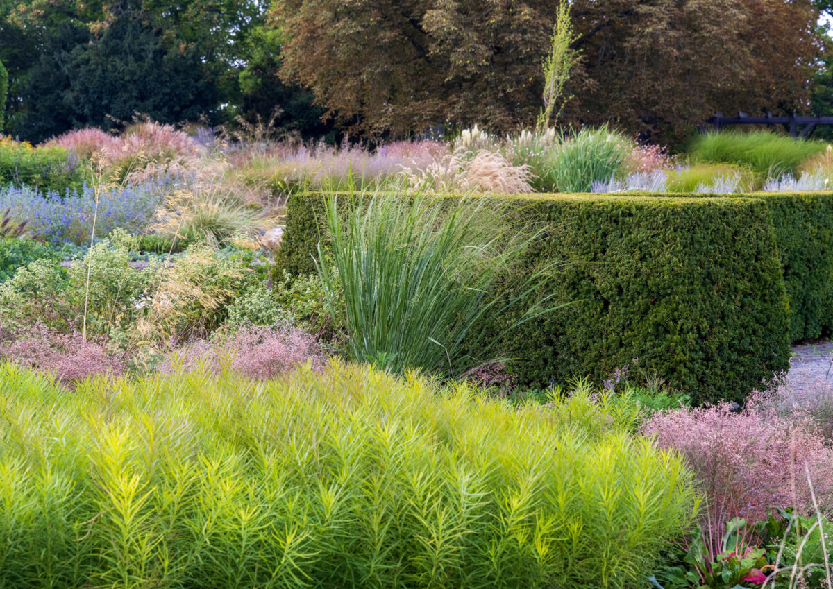 Photo: Bundesgartenschau in Erfurt 2021 - 8000 qm von Petra Pelz