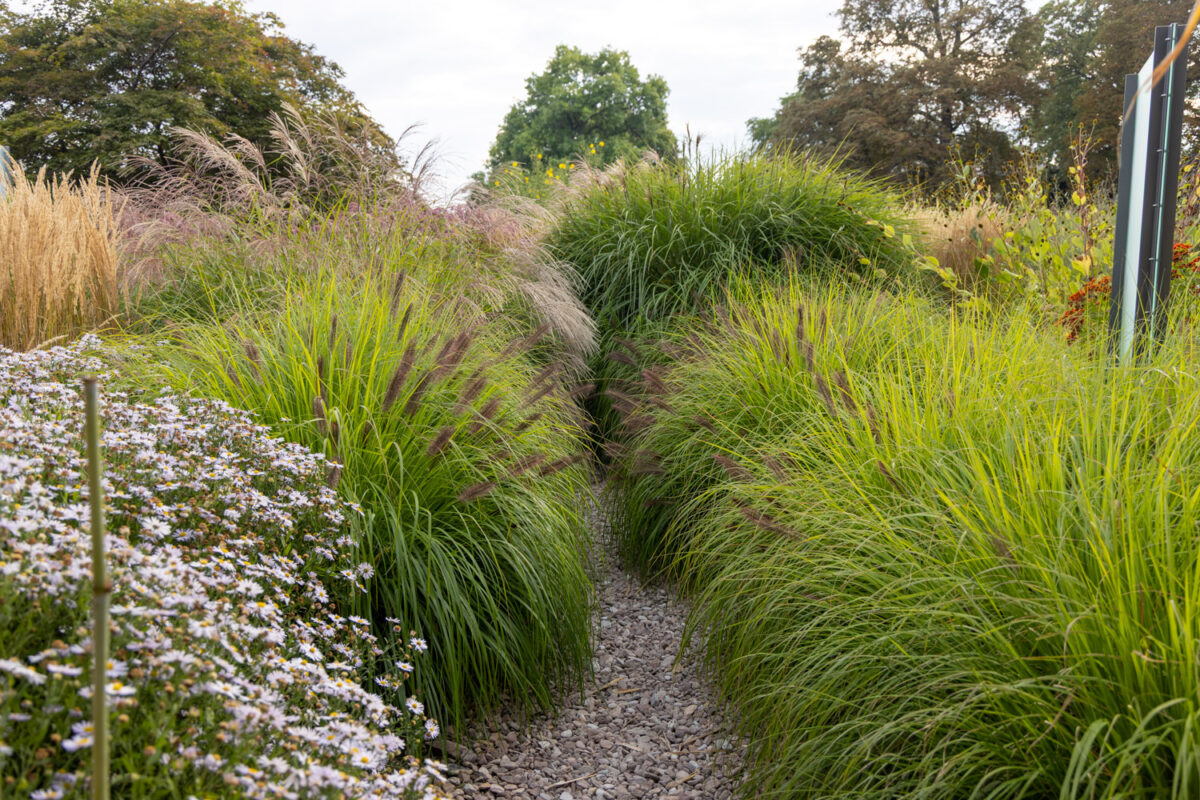 Photo: Bundesgartenschau in Erfurt 2021 - 8000 qm von Petra Pelz