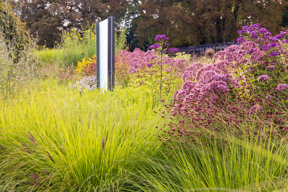 Photo: Bundesgartenschau in Erfurt 2021 - 8000 qm von Petra Pelz