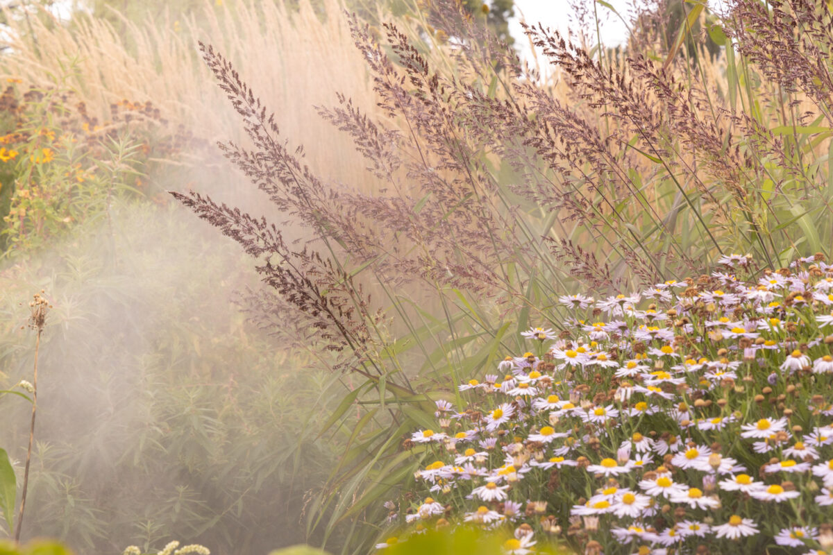 Photo: Bundesgartenschau in Erfurt 2021 - 8000 qm von Petra Pelz