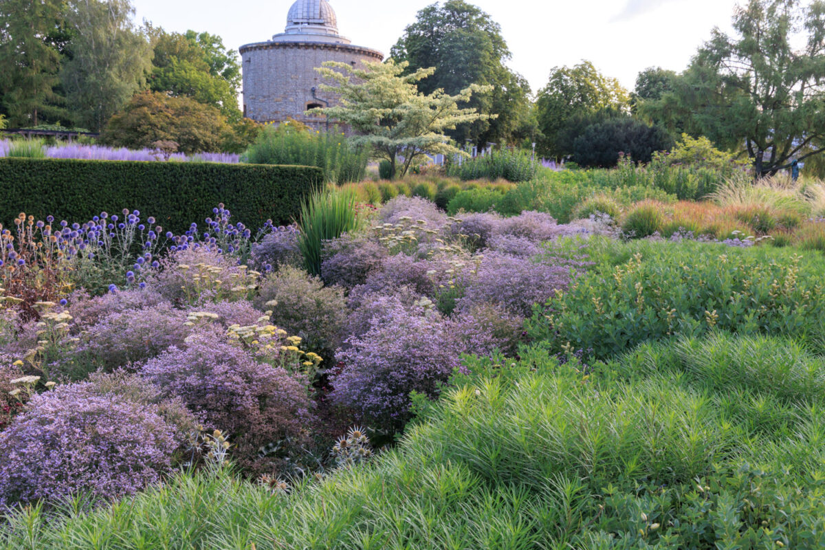 Photo: Bundesgartenschau in Erfurt 2021 - 8000 qm von Petra Pelz