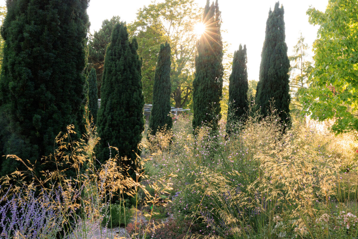 Photo: Bundesgartenschau in Erfurt 2021 - 8000 qm von Petra Pelz
