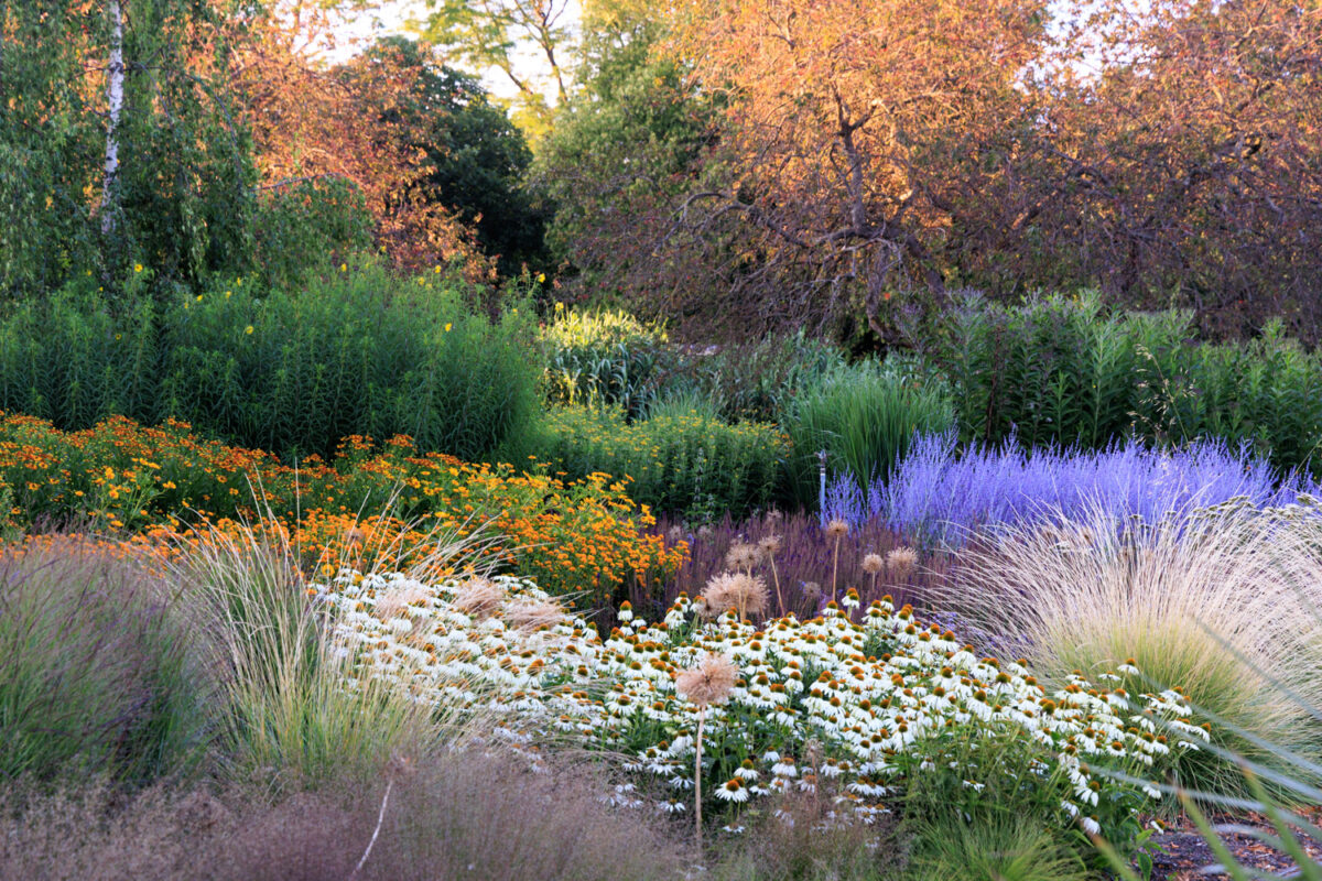 Photo: Bundesgartenschau in Erfurt 2021 - 8000 qm von Petra Pelz