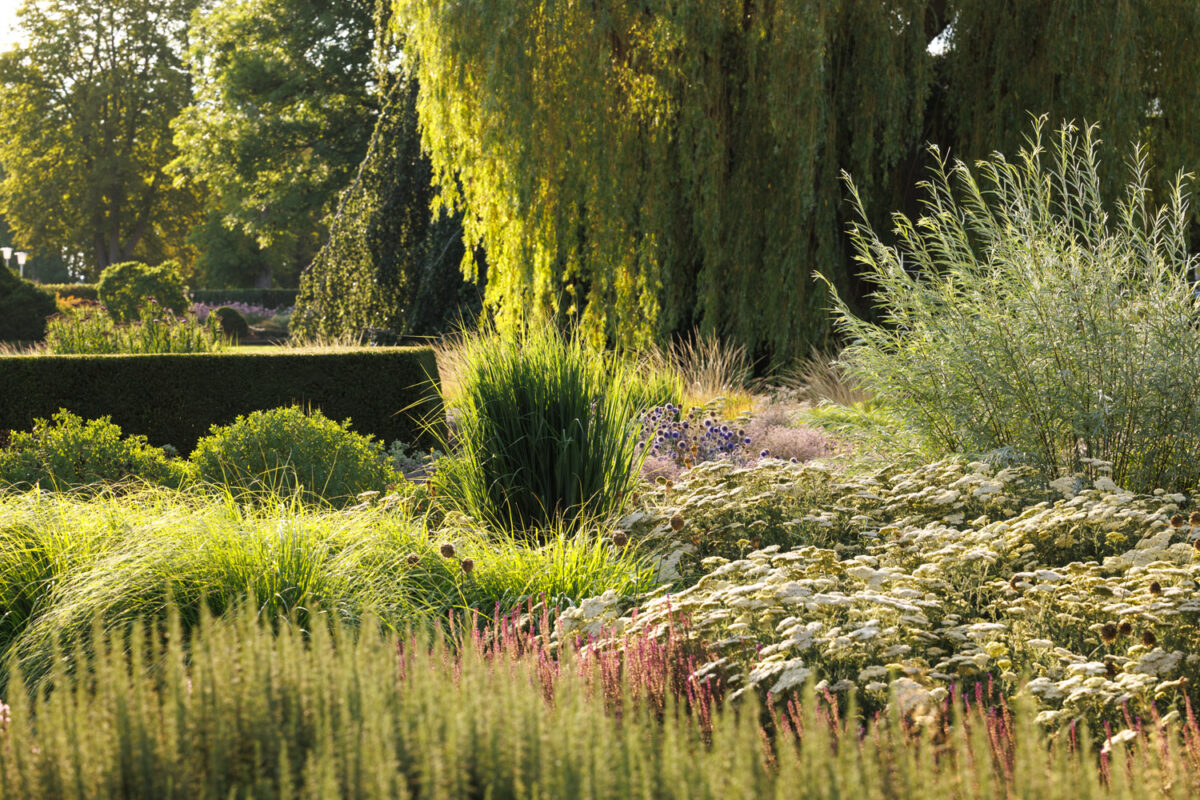 Photo: Bundesgartenschau in Erfurt 2021 - 8000 qm von Petra Pelz