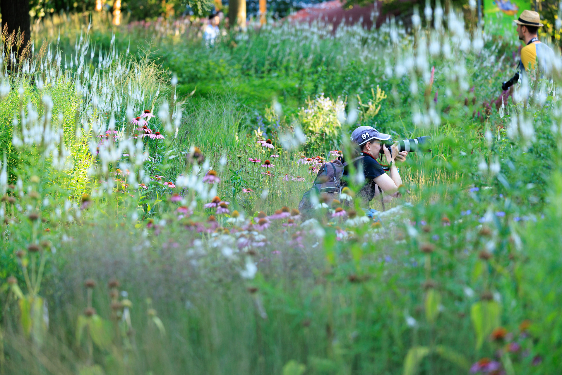 Kreative Gartenfotos